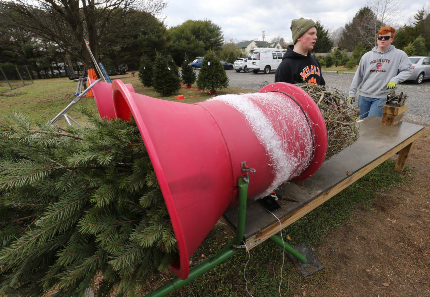 Littleworth Christmas Tree Farm